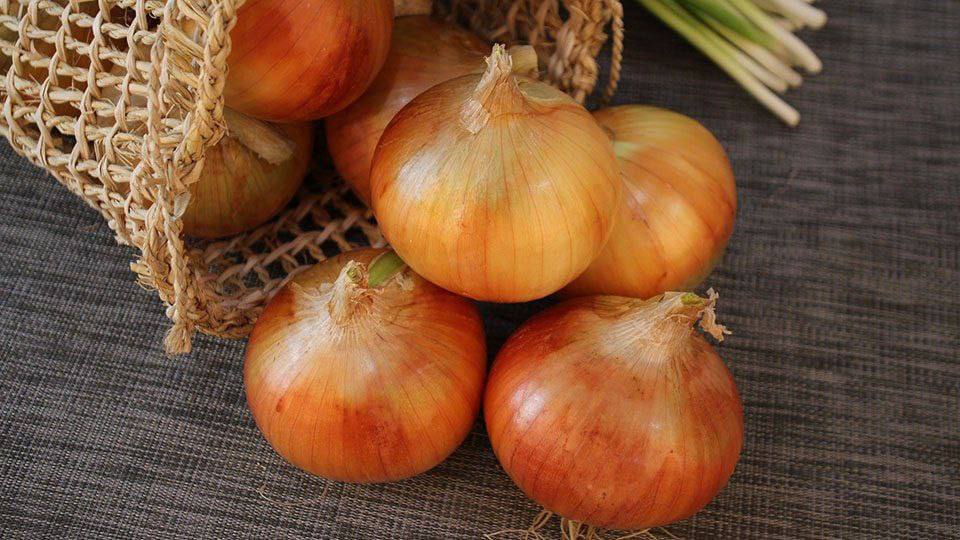 Sīpoli — aromāts, kas atdzīvina ēdienus